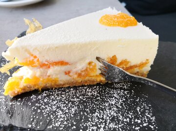 Nahaufnahme eines Mandarinen-Kuchens | © Getty Images/Andreas Krumwiede/EyeEm