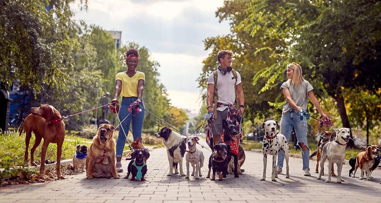 Menschen mit verschiedenen Hunden an der Leine | © Getty Images/LuckyBusiness