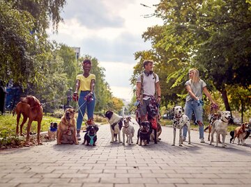 Menschen mit verschiedenen Hunden an der Leine | © Getty Images/LuckyBusiness