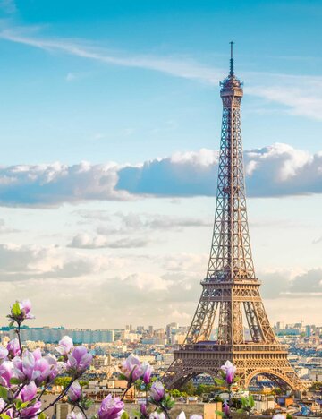 Eiffelturm hinter einem Magnolienbaum | © iStock/GetYouGuide