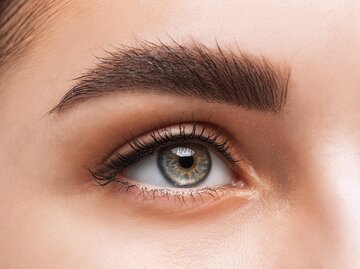 Close-up von Auge mit buschigen Augenbrauen | © Getty Images/dimid_86