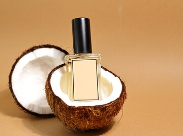 Parfum steht in einer Kokos-Schale | © Getty Images/Olga Berezhna