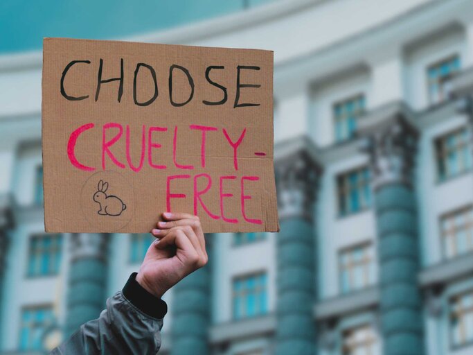 Ein Schild mit der Aufschrift "choose cruelty free" (Wähle tierversuchsfrei) | © Getty Images/Andrii Koval