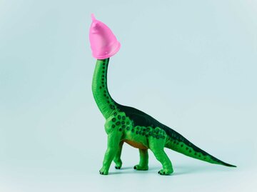 Ein Diplodocus (Dinosaurier) Spielzeug mit einer Menstruationstasse auf dem Kopf | © Getty Images/Westend61