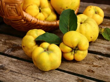 Quitten auf einem Brett | © Adobe Stock/Christine