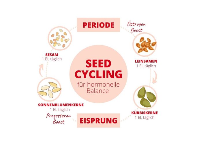 In der ersten Hälfte des Zyklus isst man geschrotete Leinsamen und Kürbiskerne, in der zweiten Hälfte Sesam & Sonnenblumenkerne. | © Instagram @seed.cycling