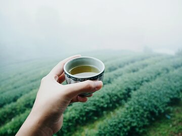 Hand hält Tasse Grünen Tee vor einer Teeplantage | © gettyimages.de | Kamolphon Supasot / EyeEm