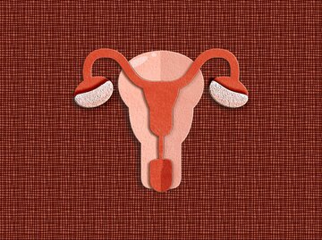 Vagina anatomische Darstellung | © gettyimages.de | Carol Yepes