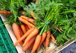 Bund Karotten an einem Marktstand | © Getty Images/Feifei Cui-Paoluzzo