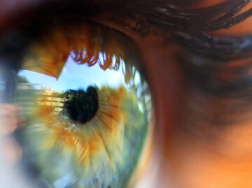 Nahaufnahme von blauem Auge | © Getty Images/Hans Solcer