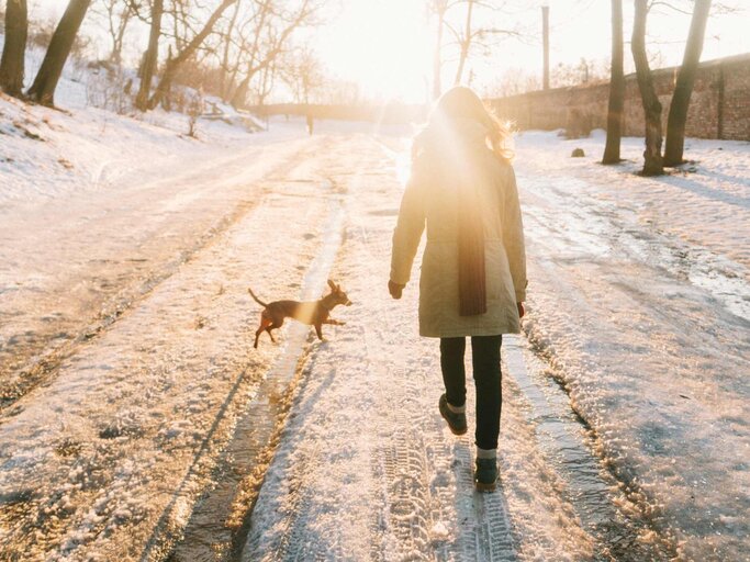 Frau zu Fuß im Park mit Hund im Winter | © Getty Images/Oleh_Slobodeniuk