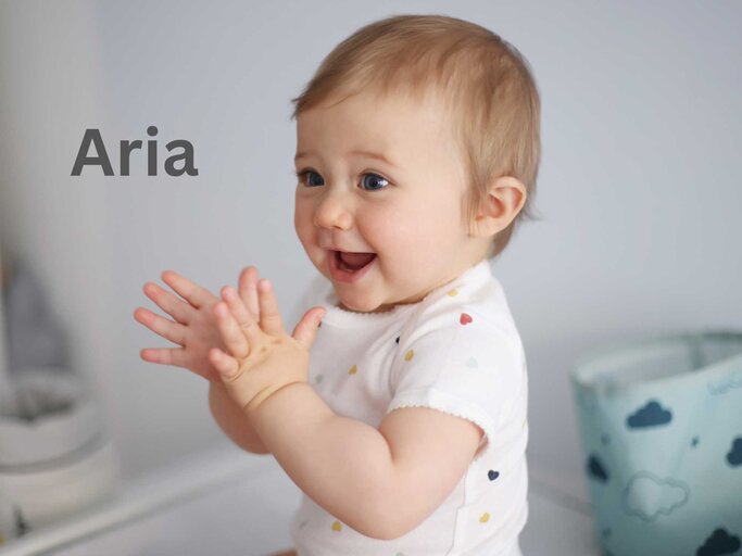 Aria | © Getty Images/Catherine Delahaye 