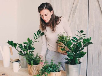 Frau pflegt ihre Pflanzen in der Wohnung | © Getty Images/Maria Kovalevskaya/EyeEm