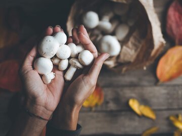 Frau hält Pilze in der Hand | © Getty Images/Agnese Siciliano