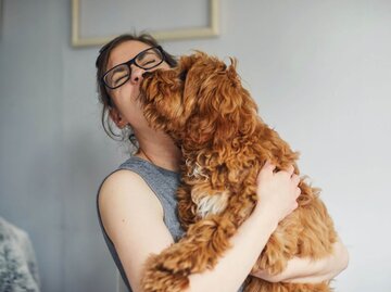 Hund schleckt Person übers Gesicht | © Getty Images/Sally Anscombe