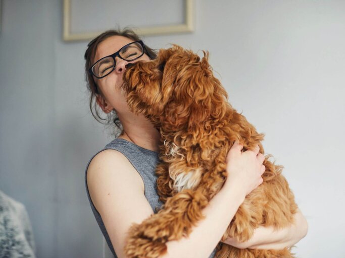 Hund schleckt Person übers Gesicht | © Getty Images/Sally Anscombe