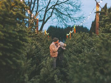 Paar küsst sich zwischen Tannenbäumen | © Getty Images/Crystal Sing / EyeEm