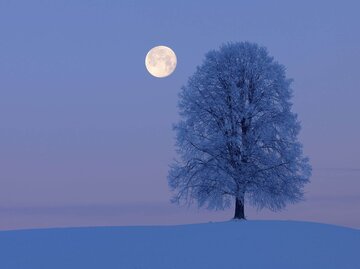 Vollmond mit Schneelandschaft | © Getty Images/Martin Ruegner