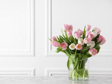 Rosa Tulpen in der Vase | © shutterstock / New Africa