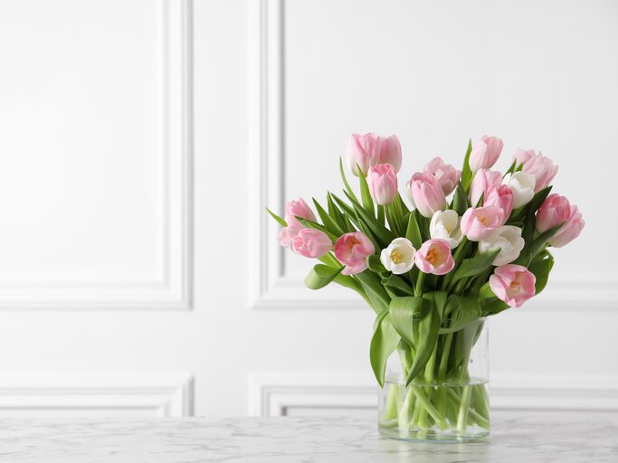 Rosa Tulpen in der Vase | © shutterstock / New Africa