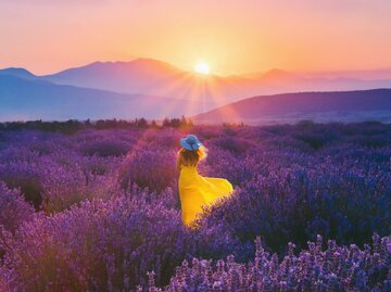 Frau in gelbem Kleid steht zum Sonnenuntergang im Lavendelfeld | © Getty Images/serts