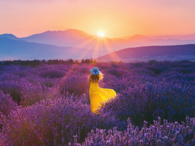 Frau in gelbem Kleid steht zum Sonnenuntergang im Lavendelfeld | © Getty Images/serts