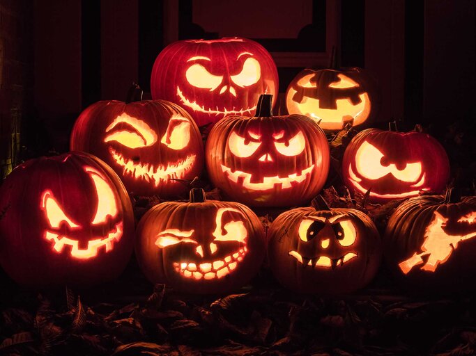 Halloween Kürbisse beleuchtet | © Getty Images/Martin Deja
