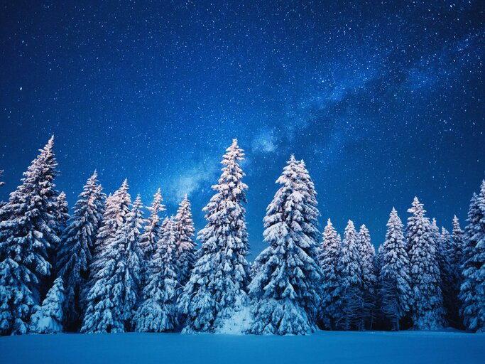 Winterwald bei sternenklarer Nacht | © Getty Images/Borut Trdina
