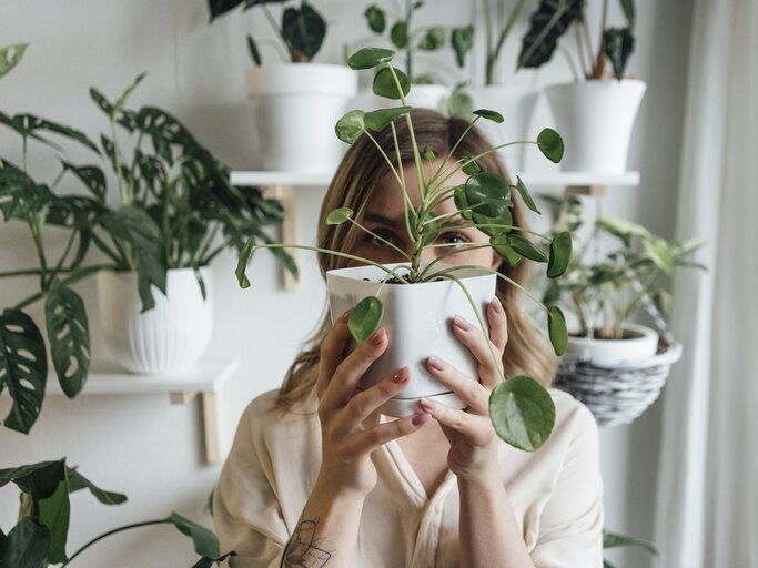 Frau hält Zimmerpflanze vor ihr Gesicht | © Getty Images/Westend61
