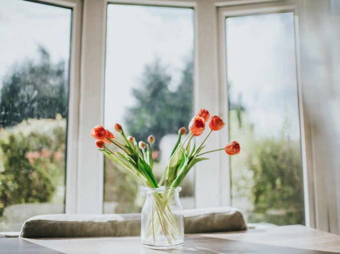 Tulpen schön angerichtet in einer Vase | © Getty Images/ Catherine Falls Commercial