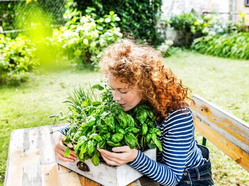 Frau riecht an grünen Gartenkräutern | © Getty Images/Westend61