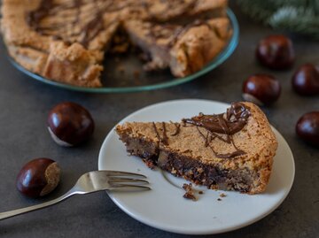 saftiger Maronenkuchen mit etwas Schokolade überzogen | © Getty Images/A_Lein
