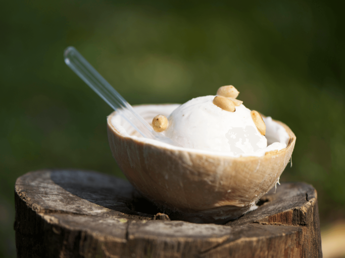 Kokoseis in Kokosnussschale | © Getty Images/DamSmith