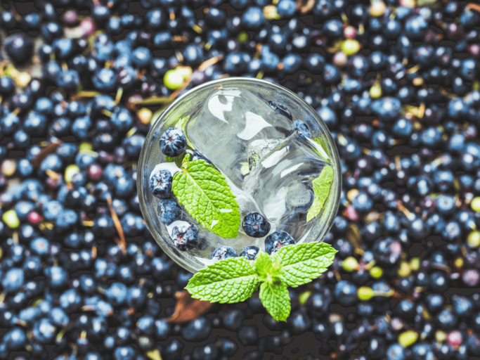 Blueberry Gin in Glas auf Blaubeeren-Hintergrund | © Getty Images/Mindstyle