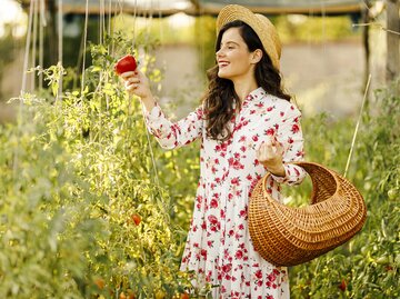 Junge Frau mit Blumenkleid, Strohhut und Strohtasche erntet Tomaten | © Getty Images/Eleganza