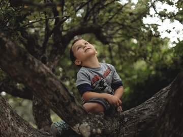 Kleiner Junge sitzt verträumt auf einem Baum. | © Unsplash | Ksenia Makagonova