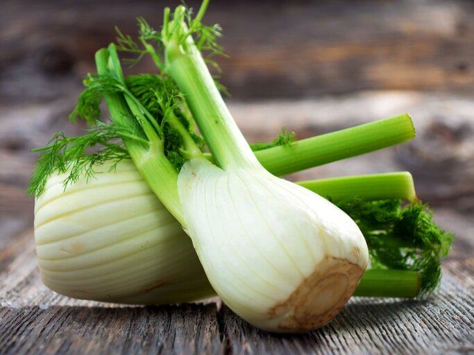 Fenchel | © iStock | zeleno