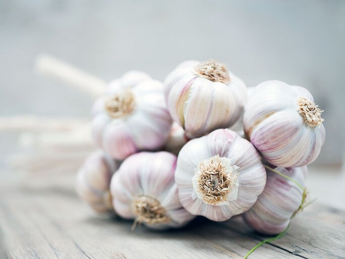 Knoblauch | © iStock | Robert Daly