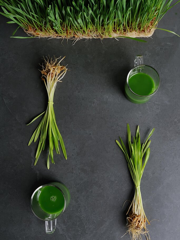 Weizengras und Weizengrassaft von oben fotografiert. | © gettyimages.de | Nataliya Kushnir