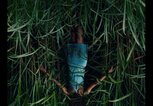 Filmplakat Im hohen Gras | © Netflix