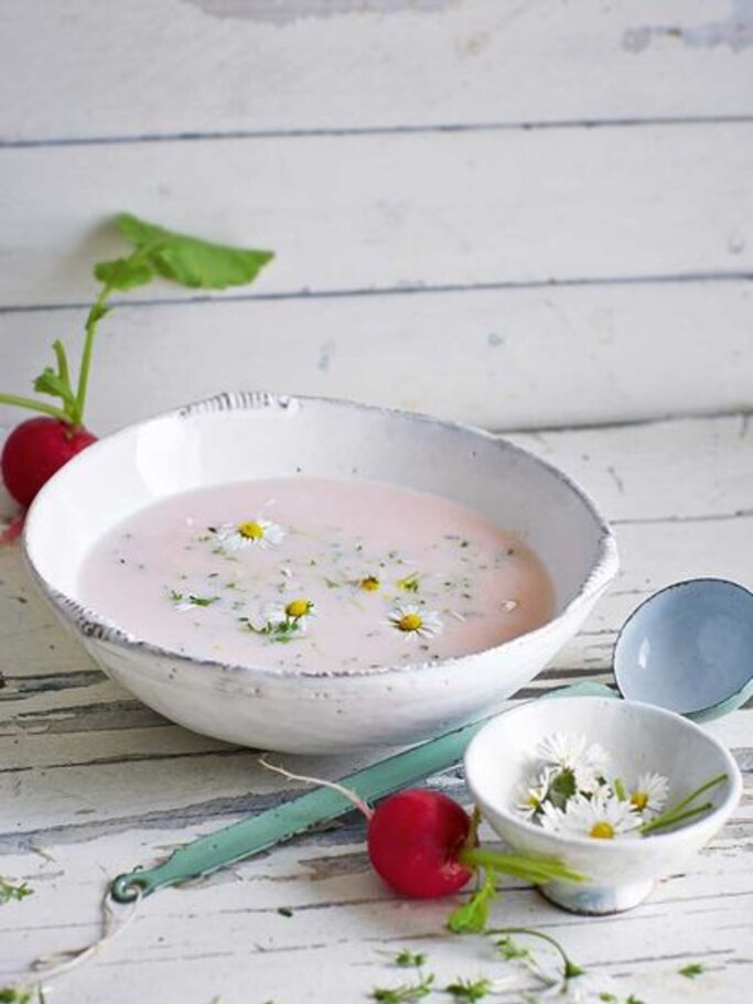 Rosa Radieschensuppe mit Kresse | © ZS VERLAG/ JULIA HOERSCH