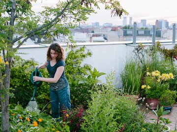 Kleine grüne Biotope mitten in der Stadt verbessern das Mikroklima und sind Rückzugsorte in den tristen Betonwüsten vieler Großstädte.  | © iStock | fotografixx