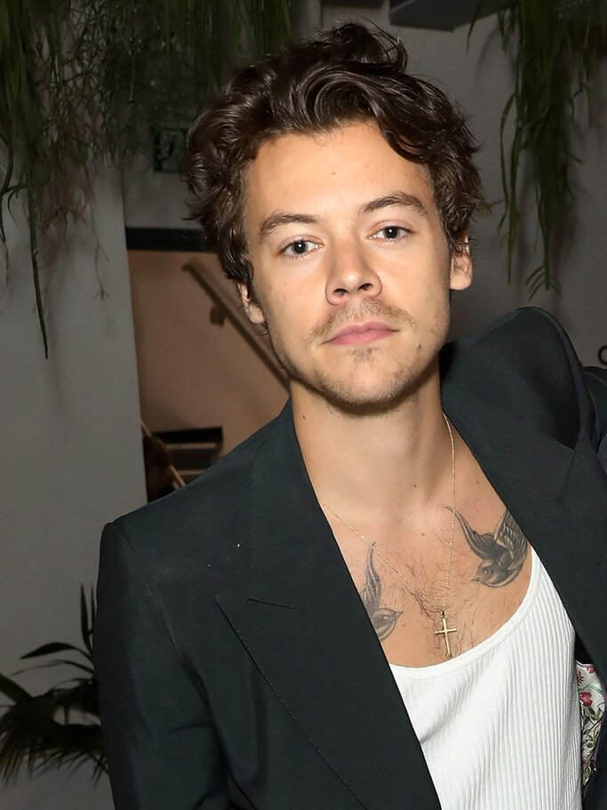 Harry Styles mit stylischer Männerfrisur mit Locken - der Bro Flow Frisur | © Getty Images |  Darren Gerrish 