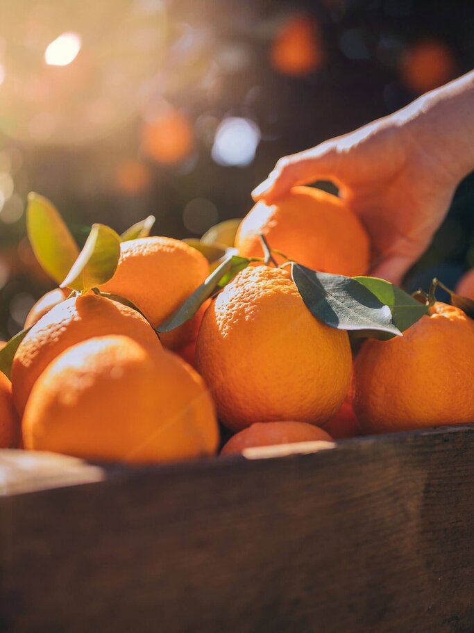 Hand greift in einen Kasten voller frisch geernteter Orangen | © iStock | wundervisuals