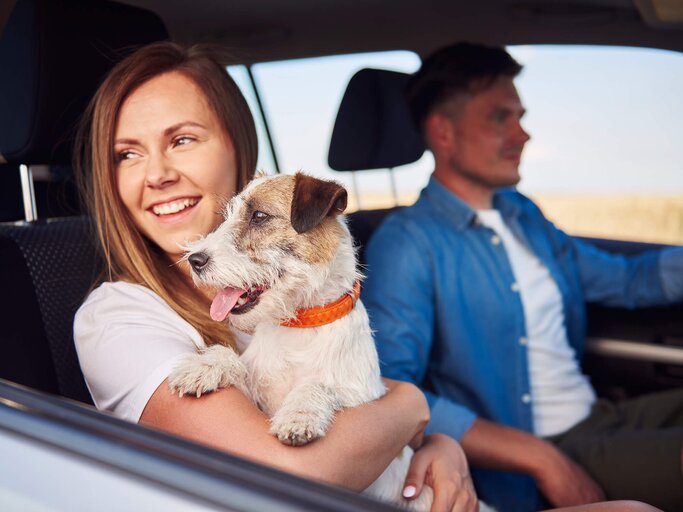 Brünette Frau sitzt mit Hund auf Arm auf Beifahrersitz eines Autos und blickt aus dem Fenster | © Getty Images | Anna Bizon | EyeEm