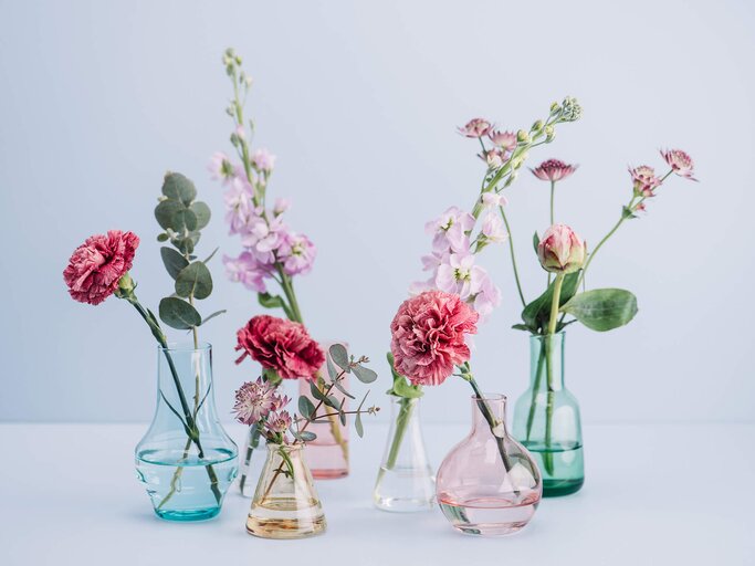 Vasen einfach säubern | © iStock | knape