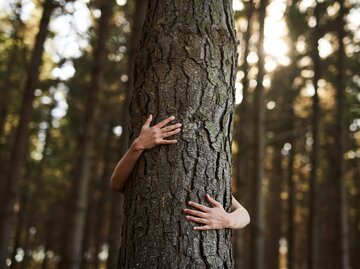 Mensch umarmt Baum | © iStock | PeopleImages
