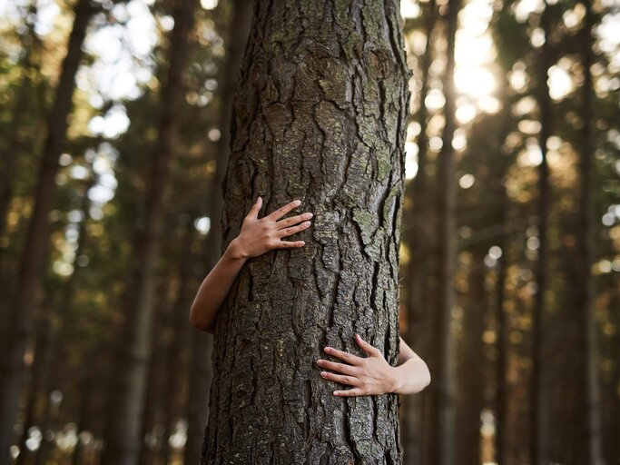 Mensch umarmt Baum | © iStock | PeopleImages