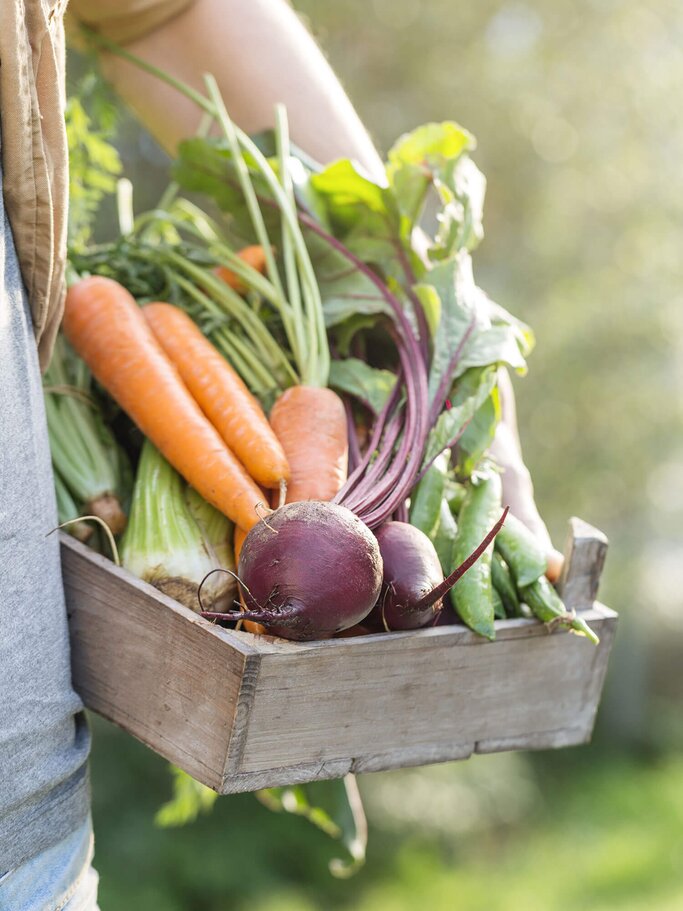 Frau hält Korb mit frischem Gemüse im Arm | © iStock | nerudol