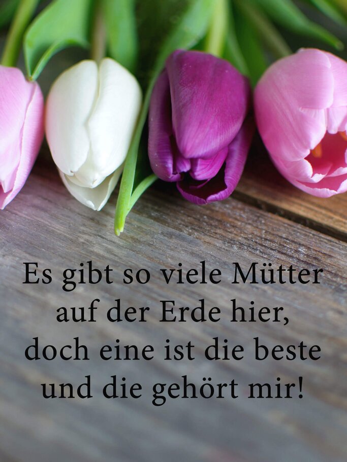 Muttertagsspruch mit Tulpen im Hintergrund | © iStock | CharlieAJA